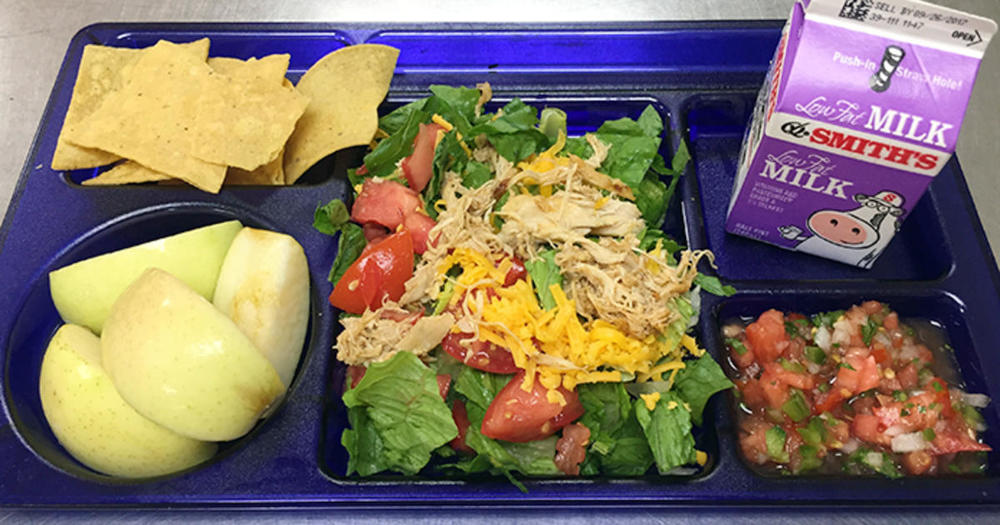 School  lunch tray cover image
