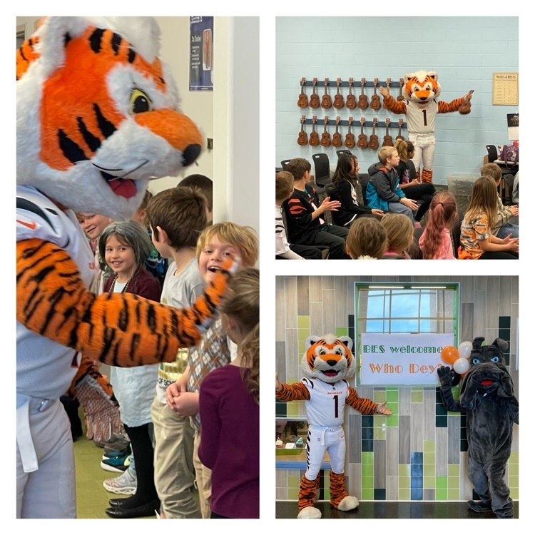 who Dey day photons of the bengal tiger visiting BES