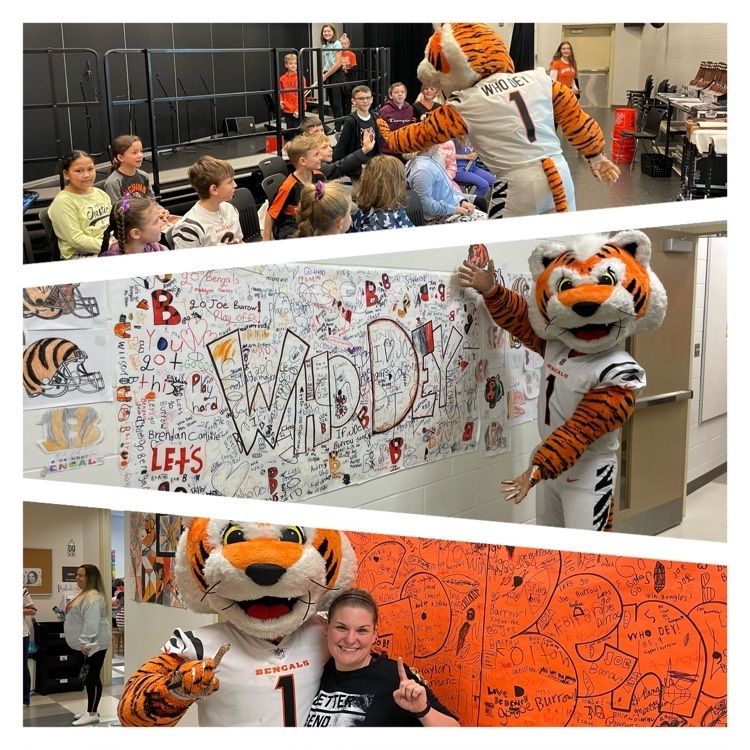 who Dey day photons of the bengal tiger visiting BES